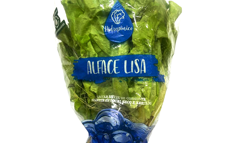 03-4-alface-lisa-hidro 03-4-alface-lisa-hidro