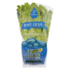 Alface Crespa Hidropônico