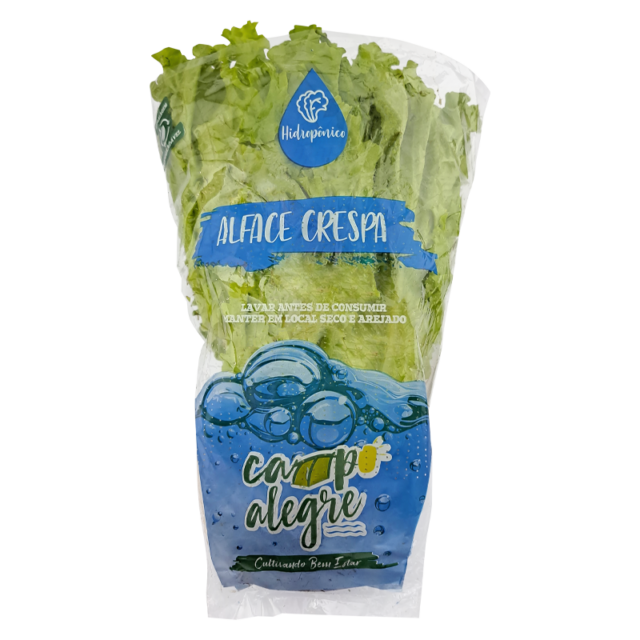 02-4-alface-crespa-hidro