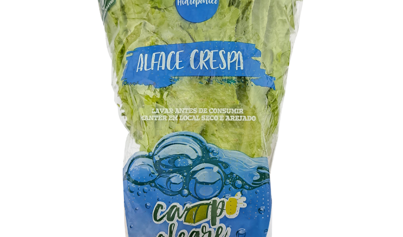 02-4-alface-crespa-hidro 02-4-alface-crespa-hidro