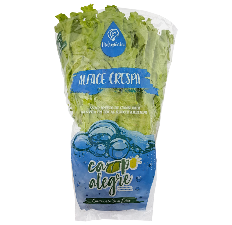 02-4-alface-crespa-hidro