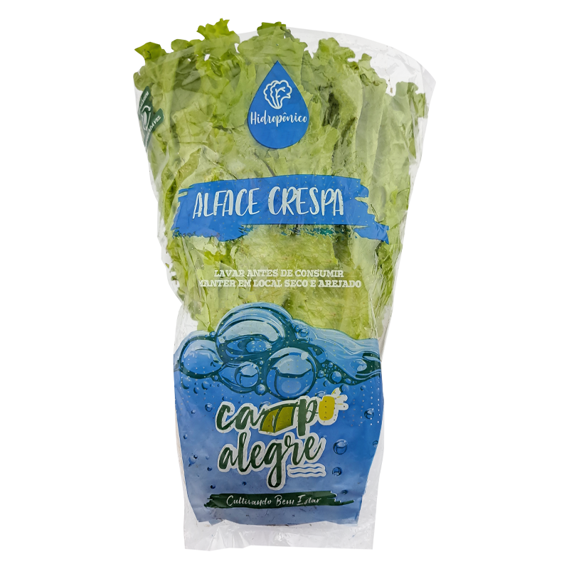 02-4-alface-crespa-hidro