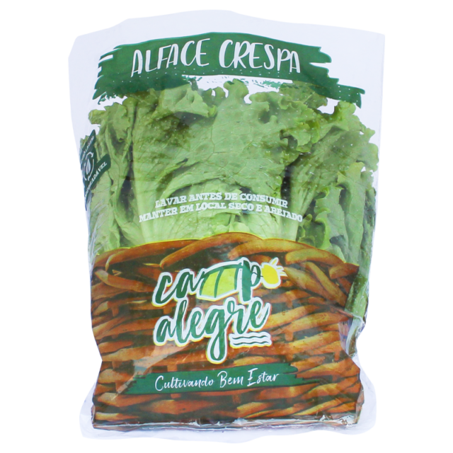 17-2-alface-crespa-conv