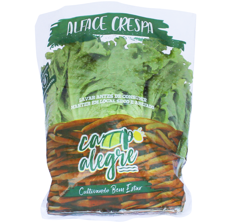 17-2-alface-crespa-conv