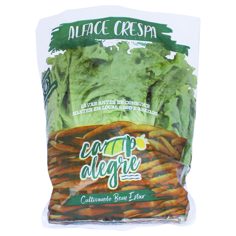 17-2-alface-crespa-conv