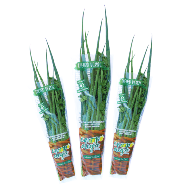 26-2-cheiro-verde-conv