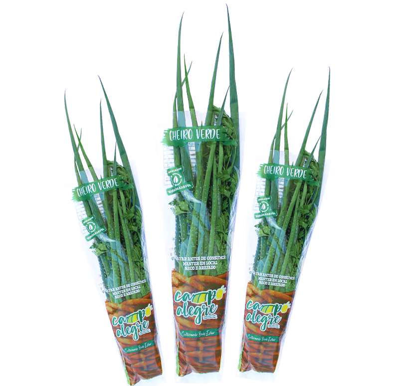 26-2-cheiro-verde-conv
