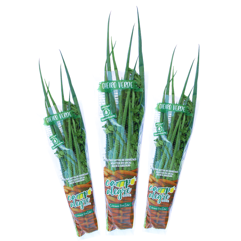 26-2-cheiro-verde-conv