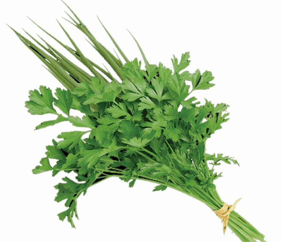 26-cheiro-verde-conv