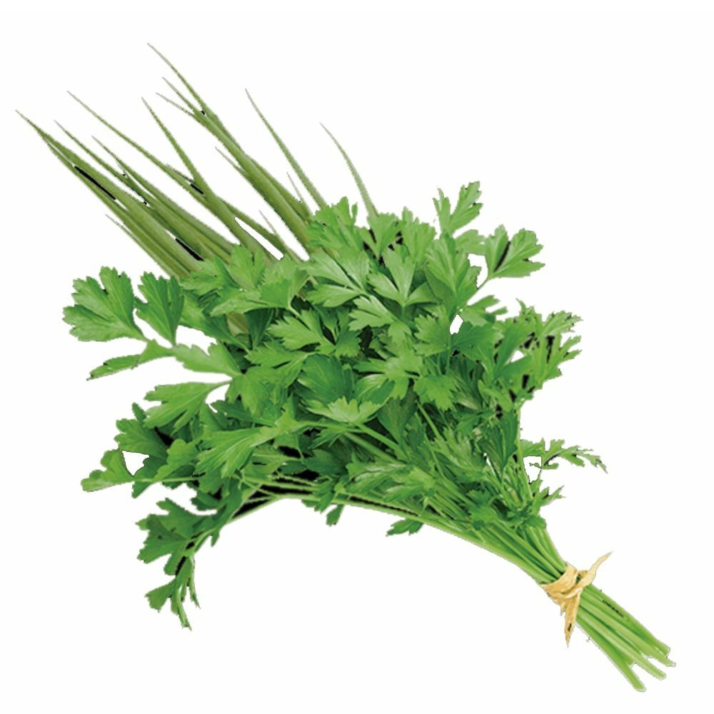 26-cheiro-verde-conv