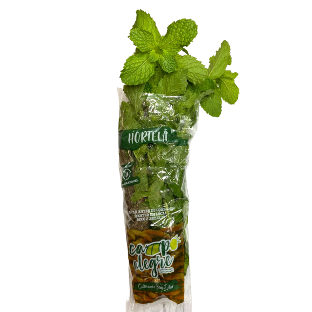 31-2-hortela-conv