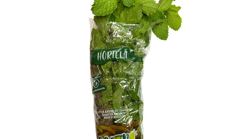 31-2-hortela-conv
