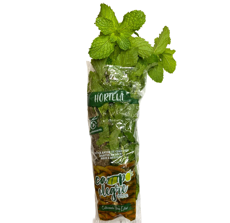 31-2-hortela-conv