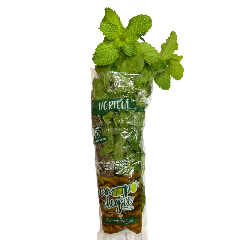 31-2-hortela-conv