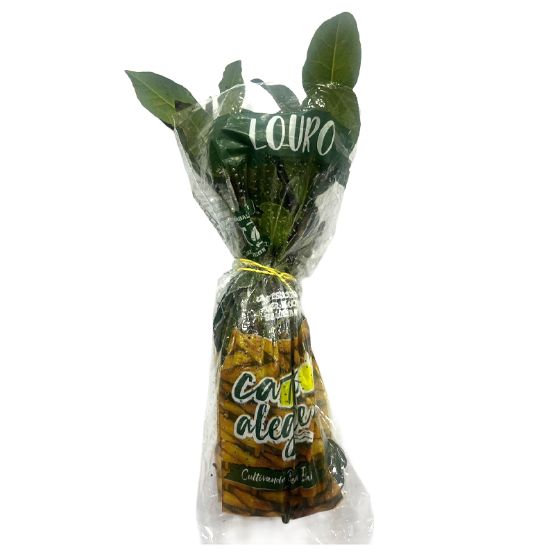 32-2-louro-conv