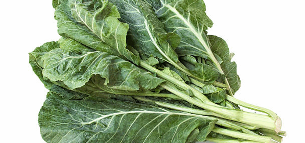 43-couve-kale-conv