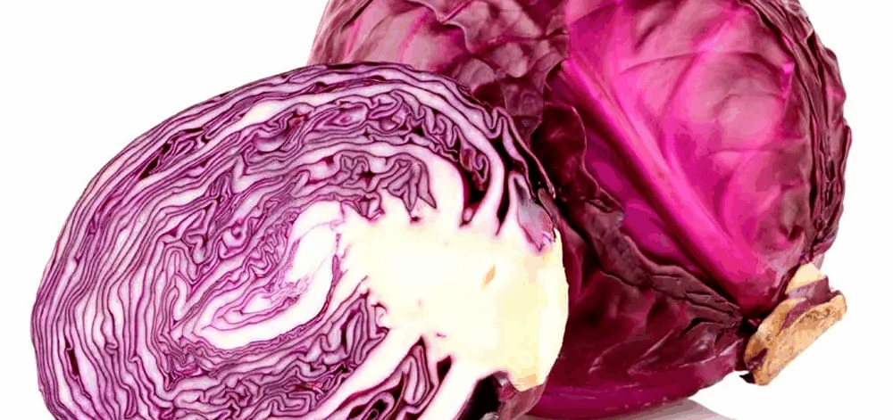48-repolho-roxo-conv