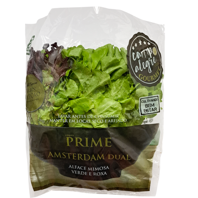82-amsterdan-dual-prime