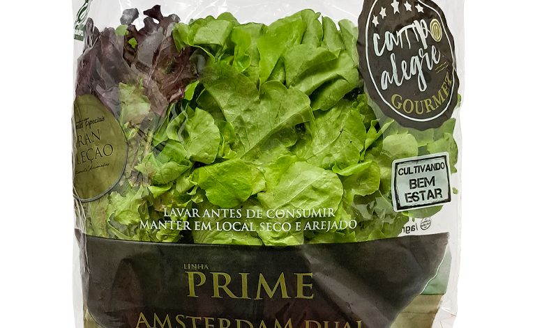 82-amsterdan-dual-prime