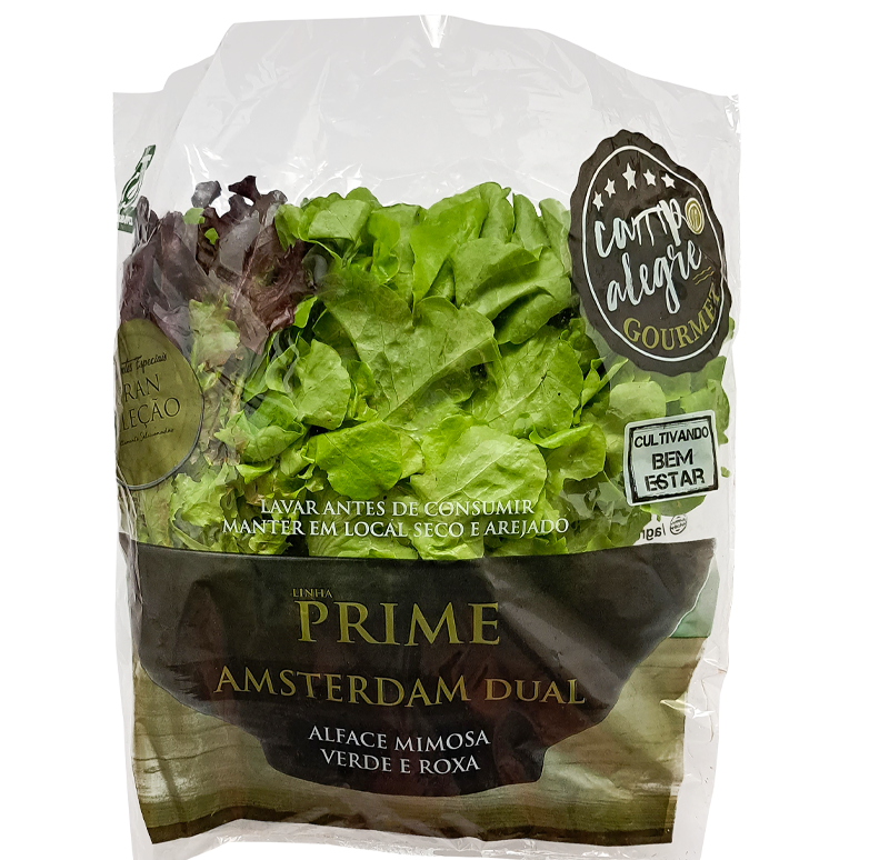 82-amsterdan-dual-prime