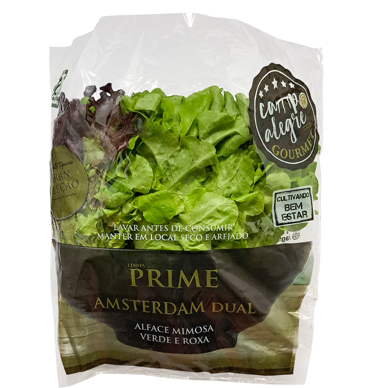 82-amsterdan-dual-prime