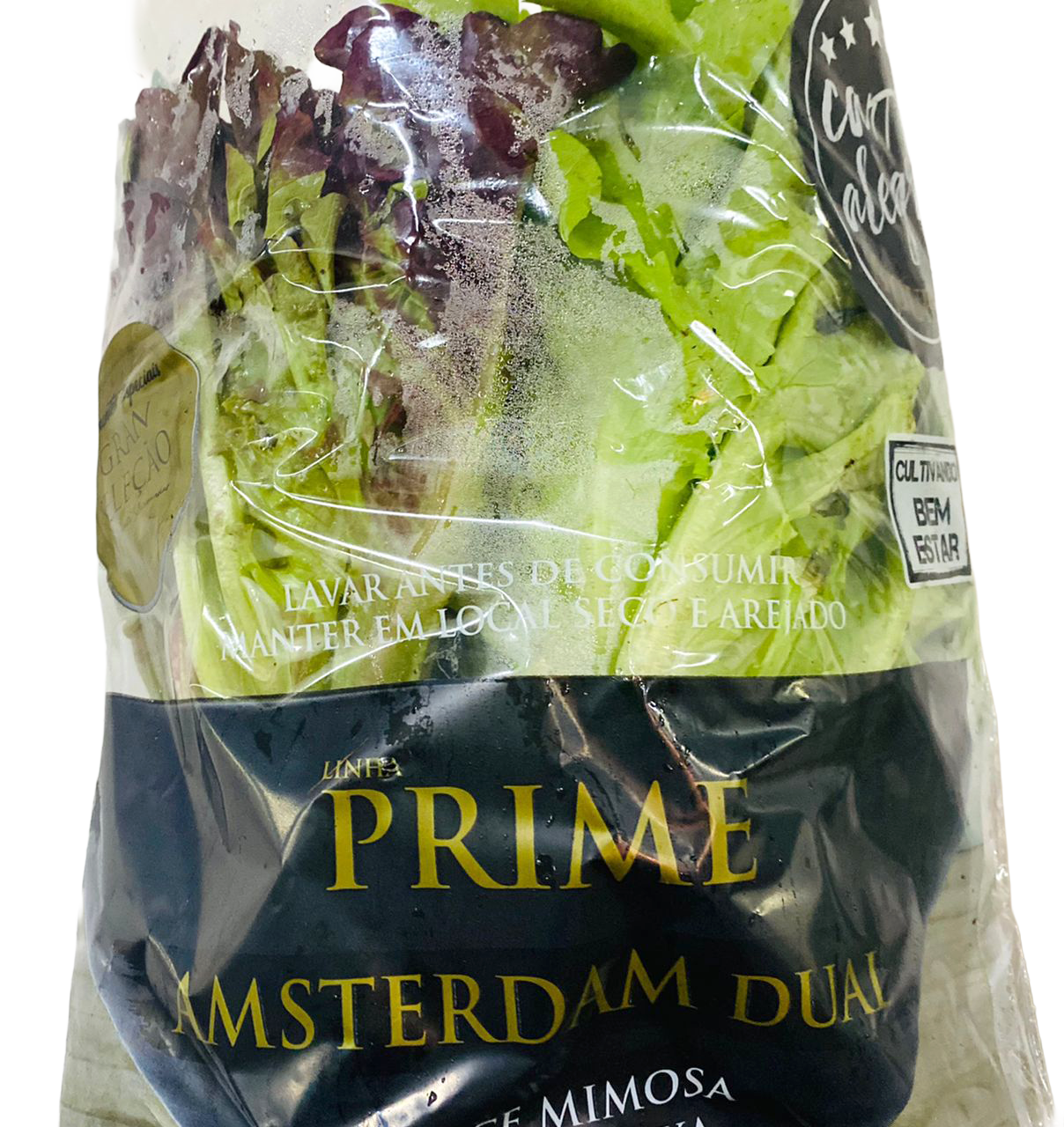 85-salad-amsterdam-dual-prime