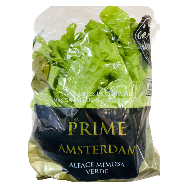 86-amsterdam-mimosa-prime