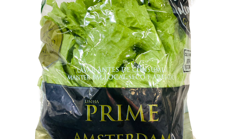 86-amsterdam-mimosa-prime