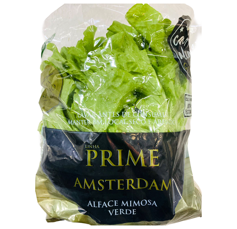 86-amsterdam-mimosa-prime