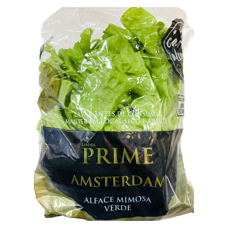 86-amsterdam-mimosa-prime